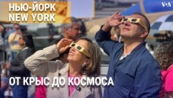 «Нью-Йорк New York». Крысы, затмение, фотограф-бродяга и японские бутерброды сандо. 14 апреля 2024