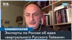 «Свободная Россия» в эмиграции – мнения экспертов 