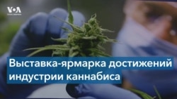 В Нью-Йорке проходит ежегодная выставка посвященная каннабис-индустрии 