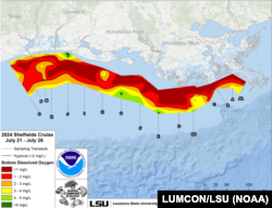Масштабы «мертвой зоны» у южного побережья США, согласно данным NOAA