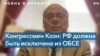 Конгрессмен Стив Коэн: Россию нужно исключить из ОБСЕ 